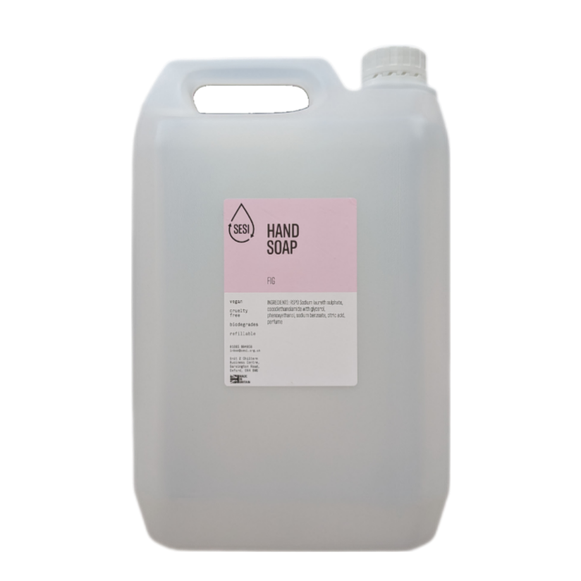 Hand Soap (Fig) image 2