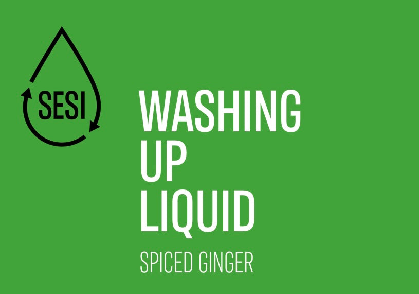 Washing Up Liquid (Spiced Ginger) image 0