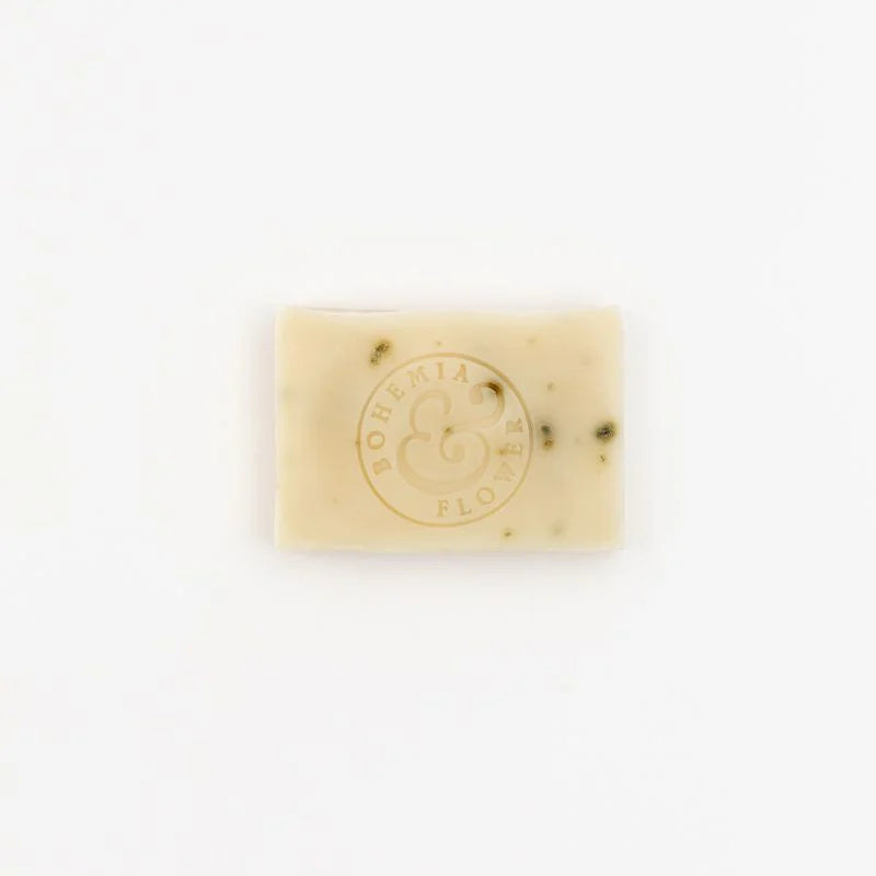 Coast Soap Bar - Organic Seaweed & Tea Tree image 1
