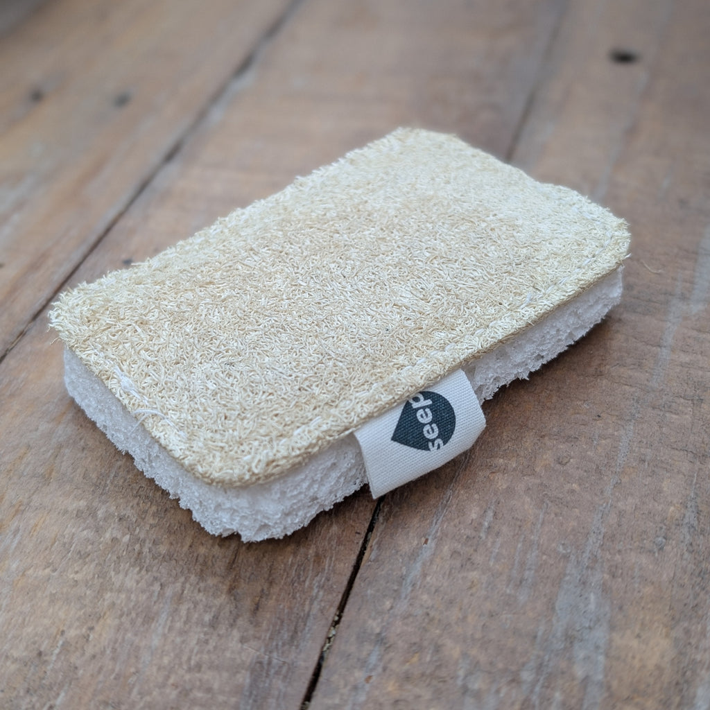 Sponge Scourer image 1